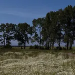 żar - Dworek W żarnowcu 公寓