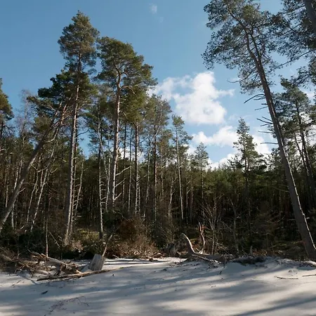 Zar - Dworek W Zarnowcu Zarnowiec