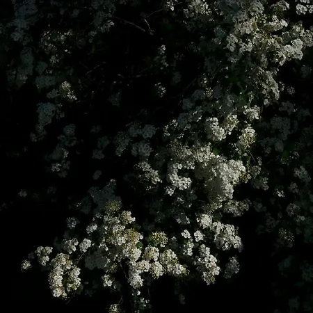 Апартаменты Zar - Dworek W Zarnowcu *