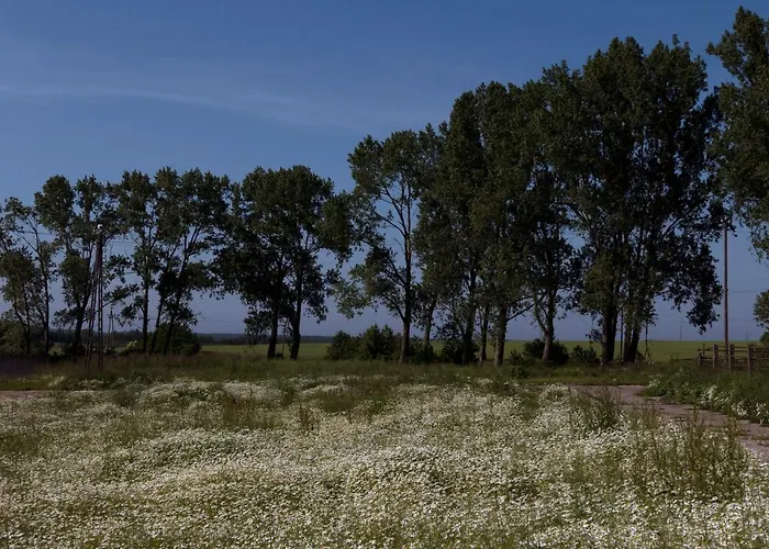 Zar - Dworek W Zarnowcu Lägenhet