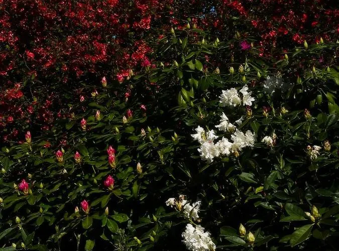 Zar - Dworek W Zarnowcu Lägenhet