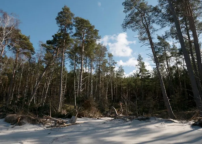 Zar - Dworek W Zarnowcu Zarnowiec